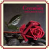 sAmƃ@CIɂ邤ȑIuZj[viCDj